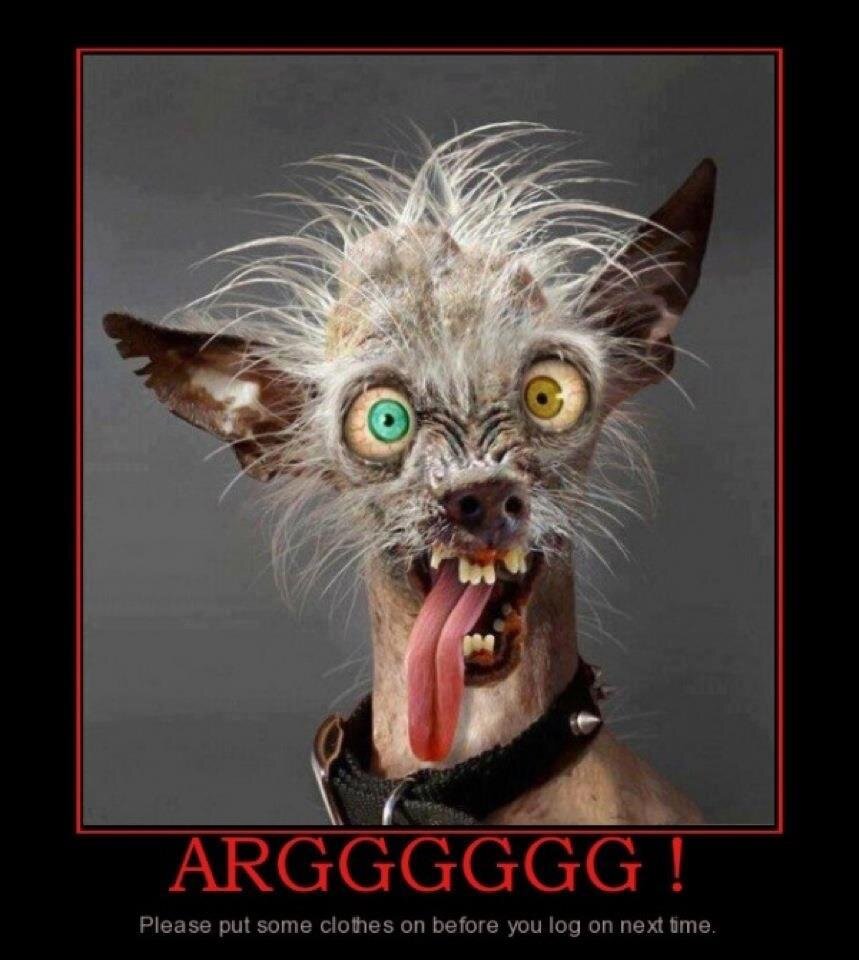 Albert_Lyons's profile picture. 