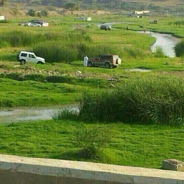 abofahad47133's profile picture. 