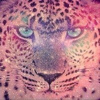 •BeLLa ALaVa• (@alava_bella) 's Twitter Profile
