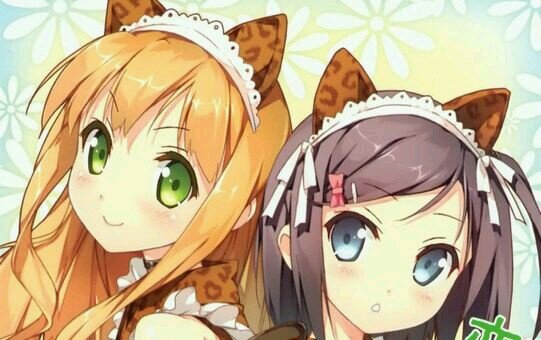 どーなるんだろー