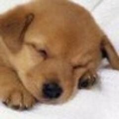 bardewinra's profile picture. А с полом бы пора определиться...