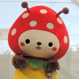 Sunムシくん ムシシ Sun Musisi Twitter