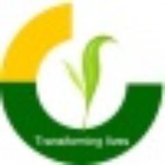 Destiny seed foundation is the leading non-profit NGO in Ghana that provides the platform for volunteers.