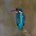 debra pickering - @debra_pickering - Twitter