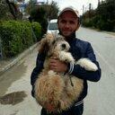 Ervin Sula - @88Sula - Twitter