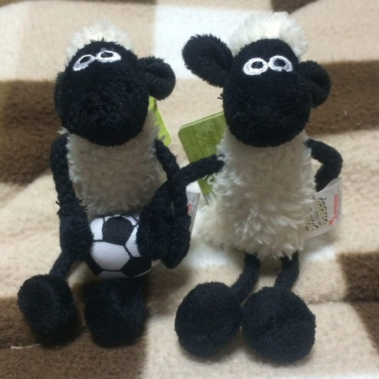 sanfrecce_love's profile picture. 山形出身/赤湯/蔵王/東放学園/社会人/サッカー/サンフレッチェ広島