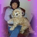 marcela lillo - @marcelalillo1 - Twitter