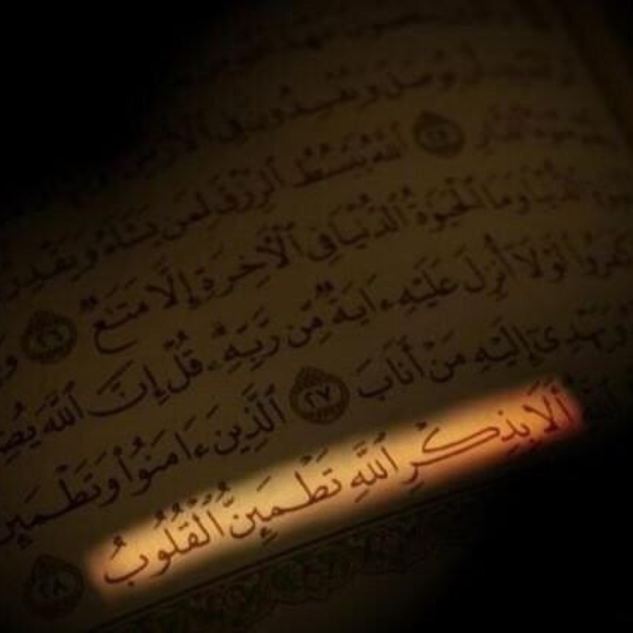تم تقفيل الحساب وجاري فتح حساب جديد انتظرونا