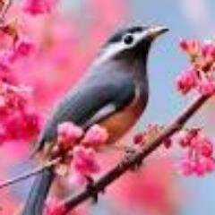 السلام عليكم ورحمة الله وبركاته