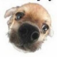 Владимир Гусев (@switesanan) 's Twitter Profile