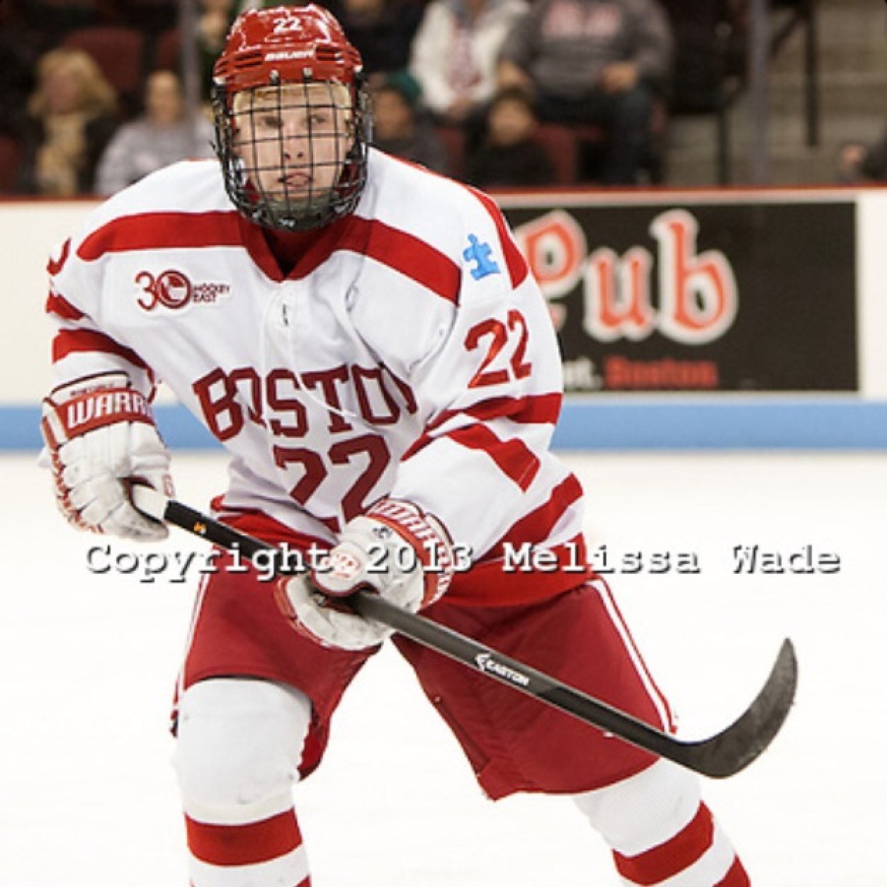 Former Boston University Terrier / Former Pro Hockey Player