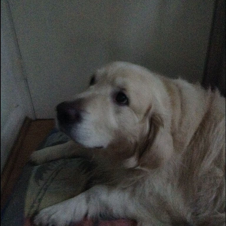 Kickitlew's profile picture. 