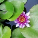 Jamie Baca - @jammarie78 - Twitter