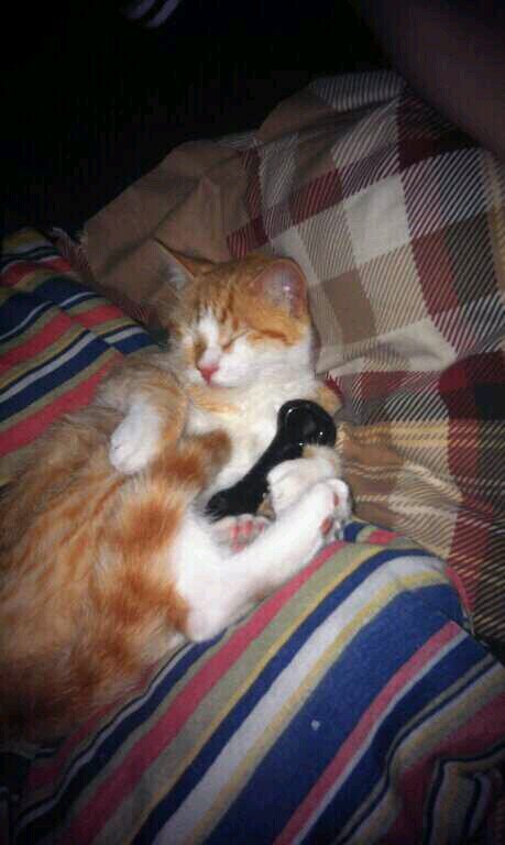 jmar_jon's profile picture. skating with friends!!!