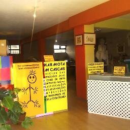 marmotacascais's profile picture. 