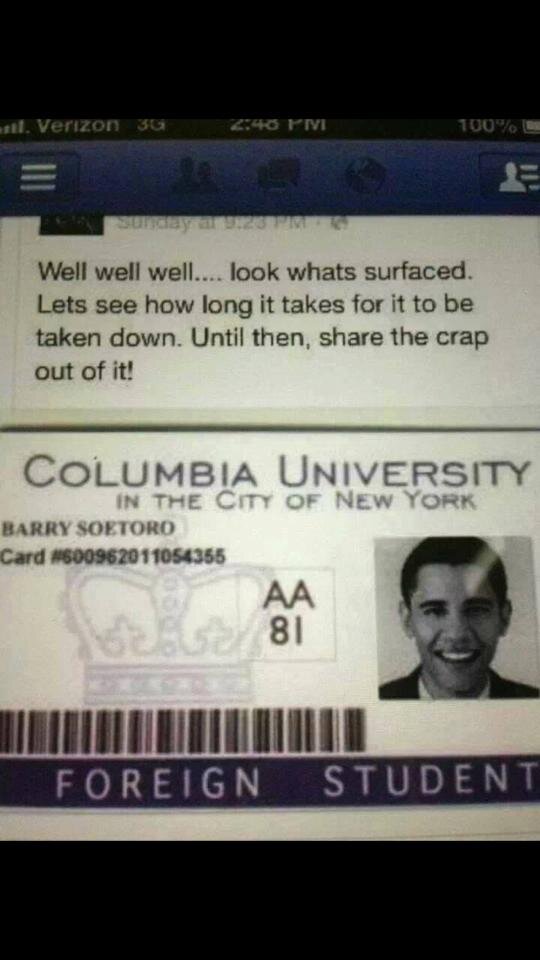 Etartlifni's profile picture. Anon