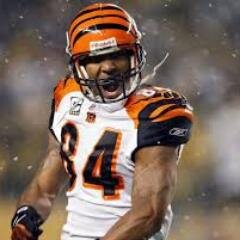 RohitMar's profile picture. love sports