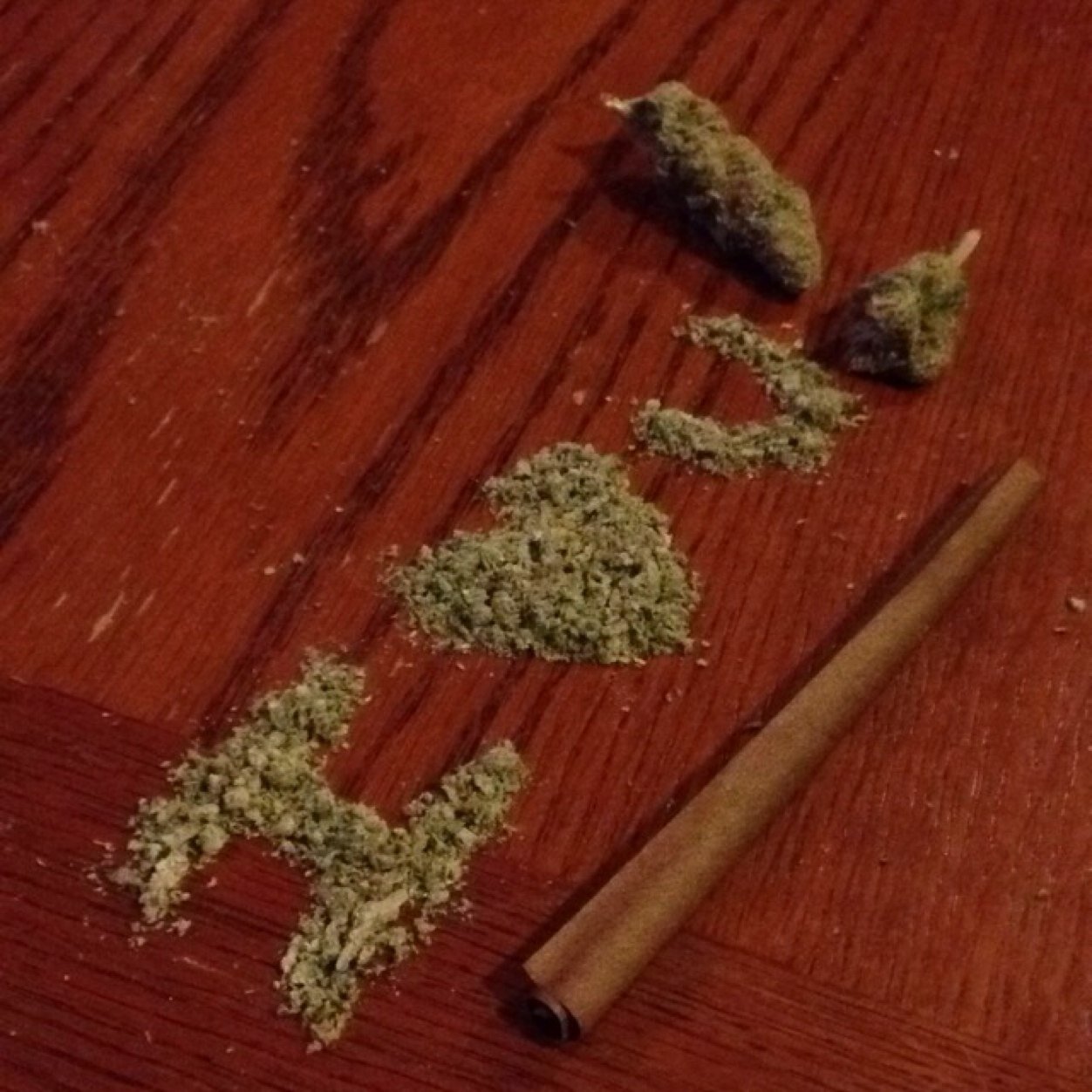 Stoner•Good Music•Only Possitive Vibes•Central New York•Pisces ♓️