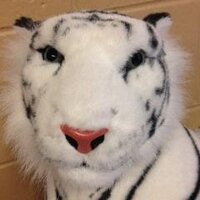 ÉÉ Les Rapides (@ecolelesrapides) 's Twitter Profile