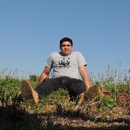 Ingeniero Agronomo