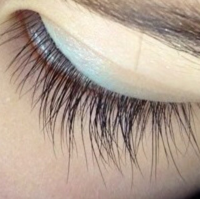 usagitosatori2's profile picture. ┌（┌ ＾o＾）┐20↑の地球住普領今吉厨レジン機械系属TRPG科地雷なしのなんでも呟く垢いつまでも花今推し 小金井志摩金田末吉松霊幻ゾンビマン佐鳥黒尾天童音駒白鳥沢速水先生どひふど 無言フォローすみません。フォロブロお好きに ※ネタバレ注意