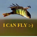 Thomas Carry - @ThomasCarry - Twitter