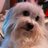 lenibsmith's profile image