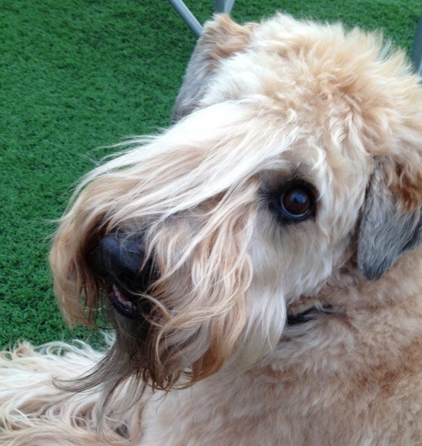 DinaMelen9's profile picture. 