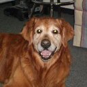 larry thomas - @modernpet14 - Twitter