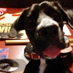 I'm snoop and I love @hazy_waves and I'm a fuckin OG