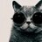 OppermanTanya's profile image