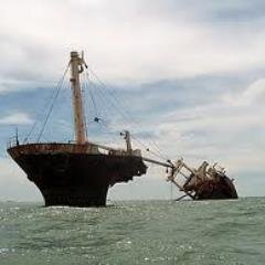 AnnaRod48936409's profile picture. 