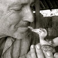 Mark Deeble 〓〓 (@markdeeble1) 's Twitter Profile Photo Mark Deeble 〓〓 (@markdeeble1) 's Twitter Profile Photo