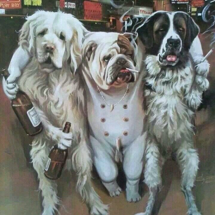 see_tumismo's profile picture. todos merecemos ser feliz al menos una vez en la vida, y luego decidir durante cuanto