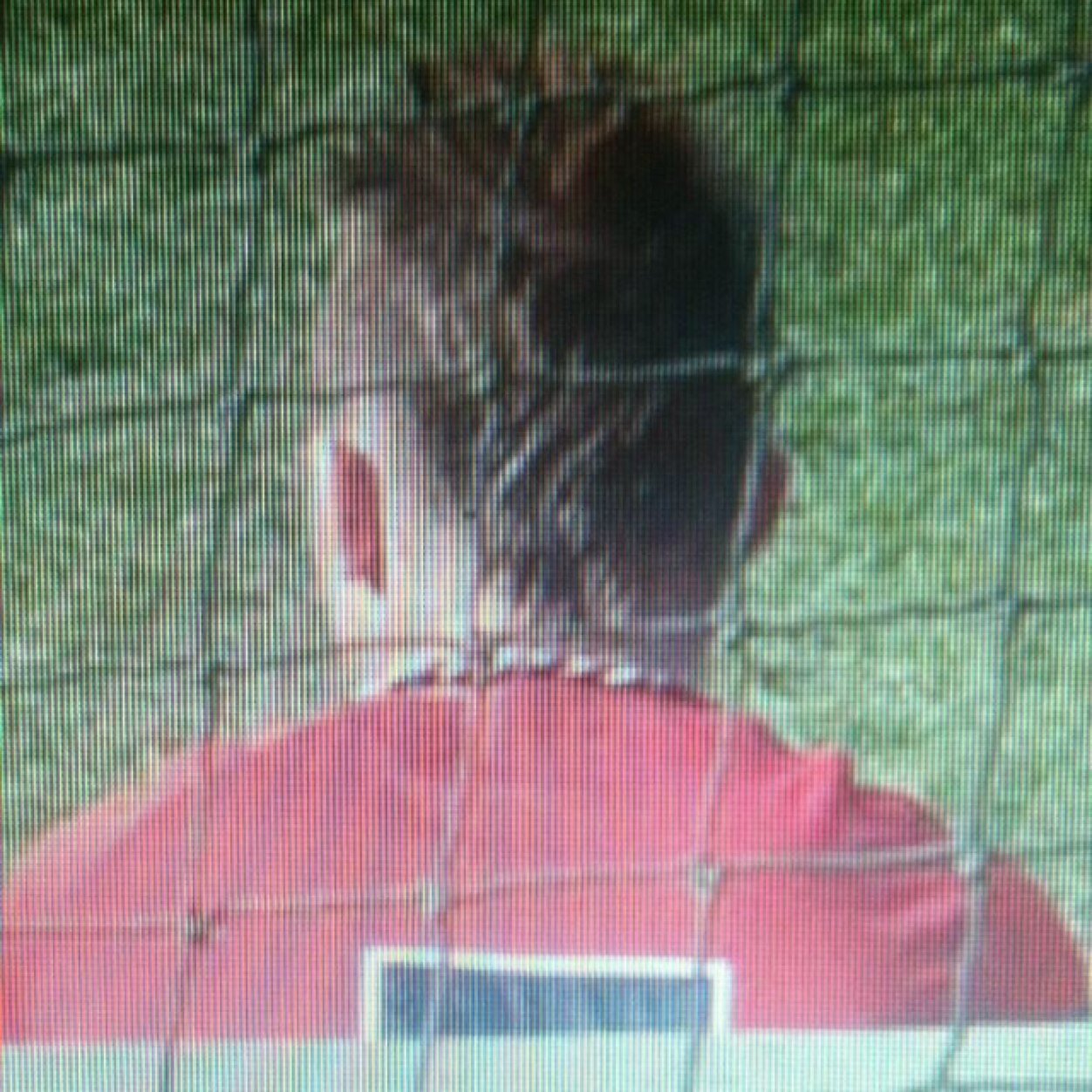 tdesjardins5's profile picture. 