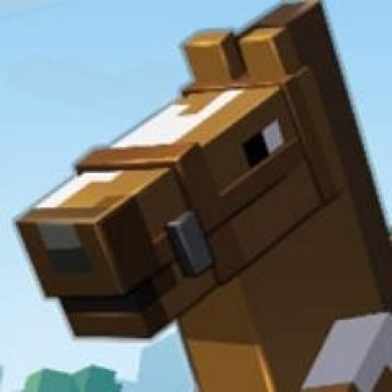 soicalhorsecraf's profile picture. 