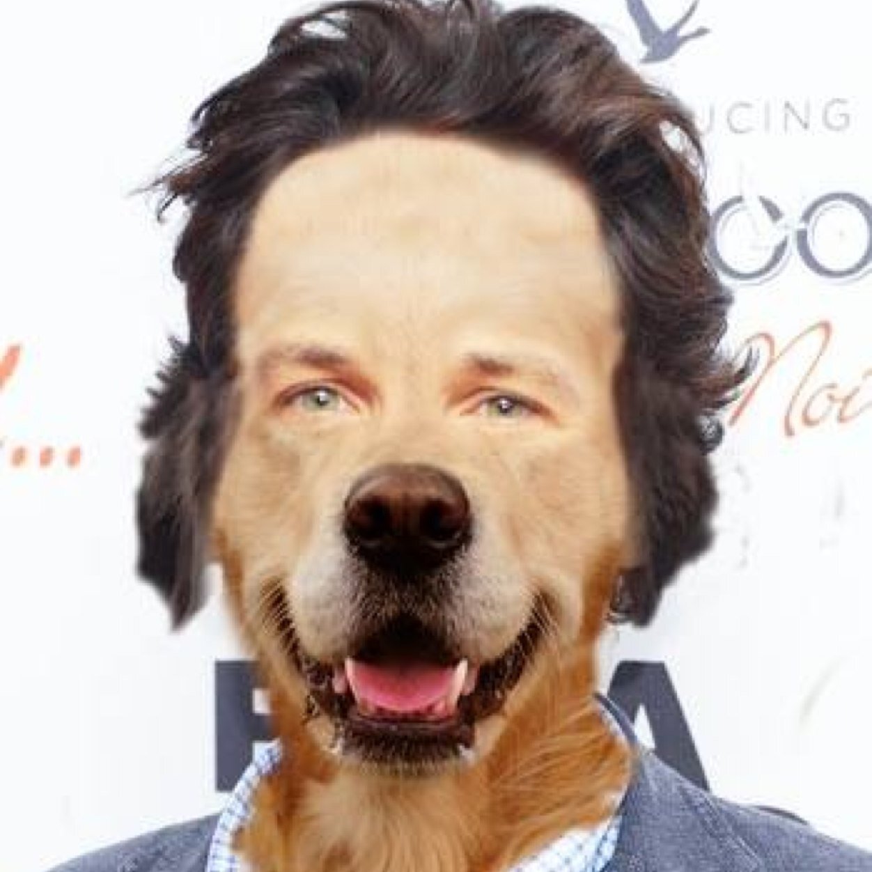 I'm a comedian/actor/dog