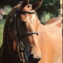 Mandy Riley - @RileyMandyriley - Twitter