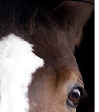 GrantSutherlan5's profile picture. 