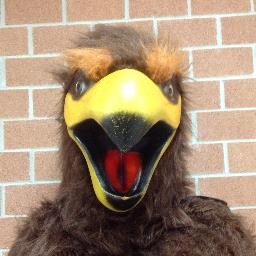 flintfalcons's profile picture. world-class learners