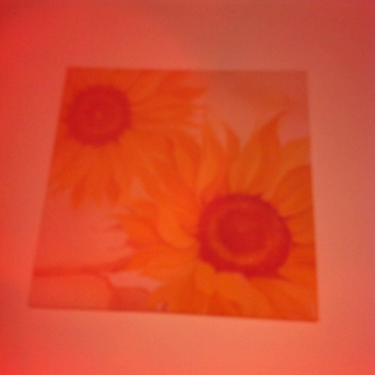 Toole202Emma's profile picture. 