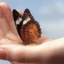 Verusca Maia Miranda - @veruscamaia - Twitter