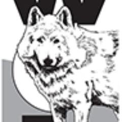WolfWatchUK's profile picture. Working for Wolves