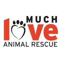 Much Love Animal Rescue is a 100% non-profit, no-kill organization dedicated to reducing overpopulation, abuse and neglect of domestic animals.