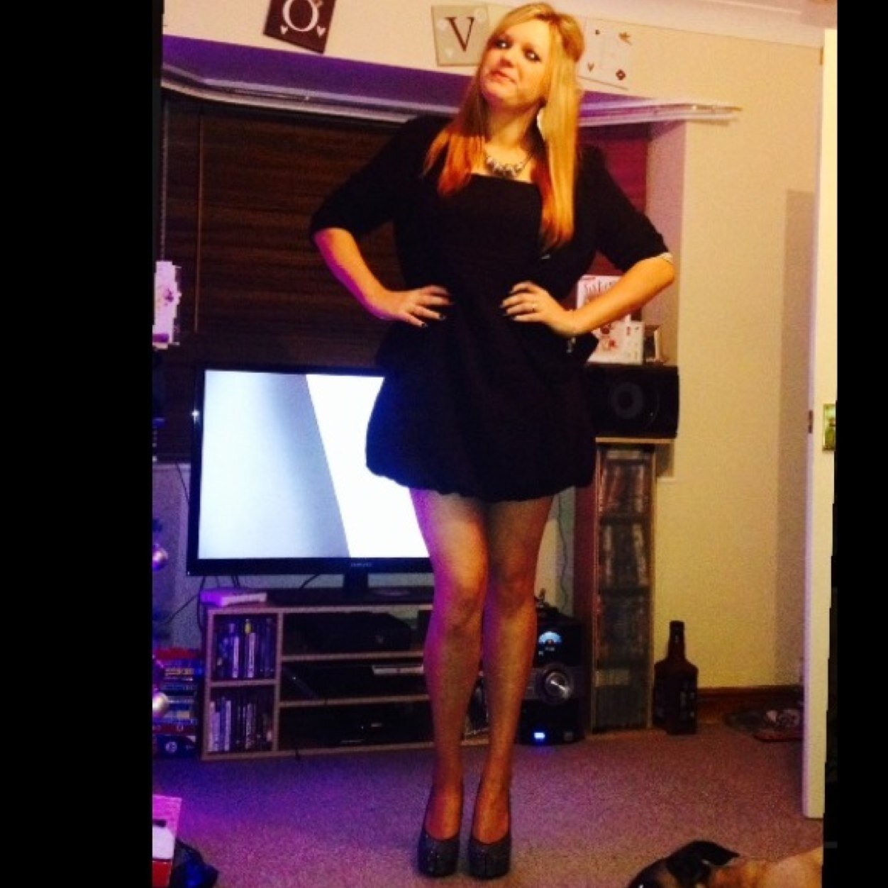 stevieruler3's profile picture. Stevie, 22 :) bah!