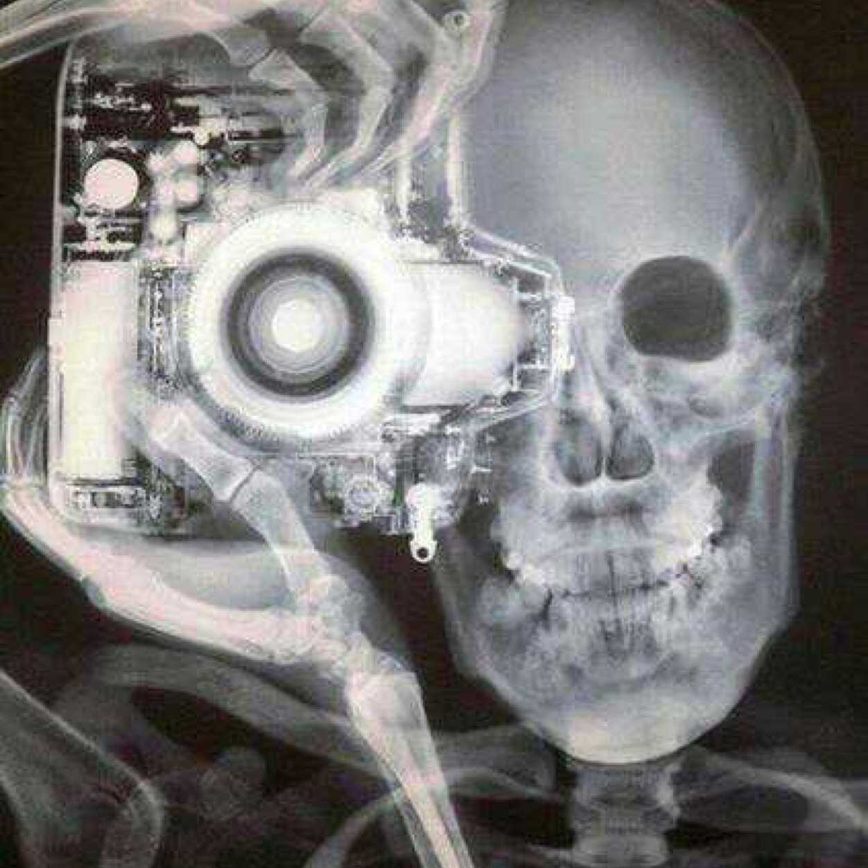 Tichit's profile picture. 