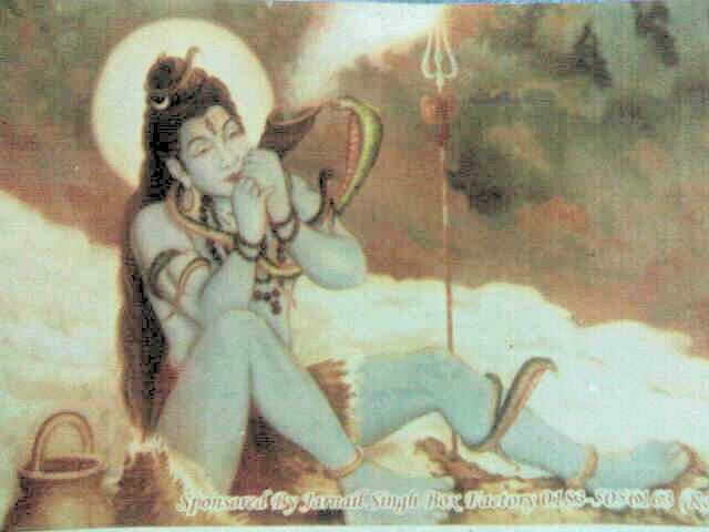 rajnemd's profile picture. 