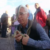 Raul Ibáñez Patiño (@rulibanez) 's Twitter Profile