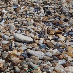 sophiemarette's profile picture. 