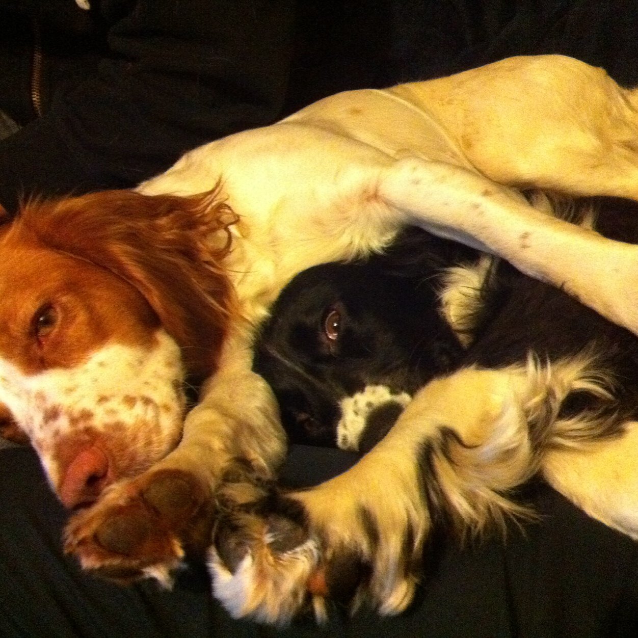 mixie91's profile picture. 